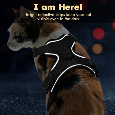 A cat harness no escape can be a safe solution to take your cat outside your house. Escape Proof Cat Vest Harness and Car Seat Belt Adapter ...