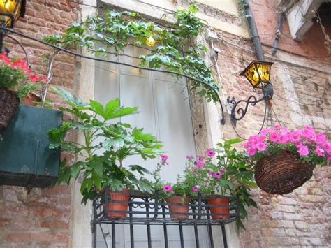 Check spelling or type a new query. Window boxes in Venice, Italy. 2008 | Rustic window ...