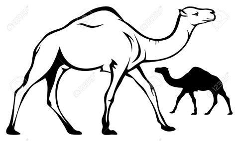 All camel clip art are png format and transparent background. camel clipart black and white 20 free Cliparts | Download ...