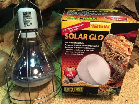 A subreddit for reptile, amphibian, and invertebrate lovers! The 17 Best Reptile UVB Light Bulbs Reviews & Beginner's ...