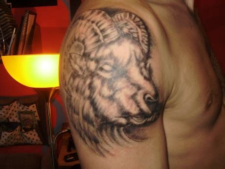 Tetování znamení beran | fotogalerie motivy tetování. sharktattoo - Fotoalbum - Tattoo - Tetování - beran