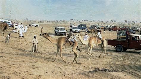 Looking for an immaculate, intimate, friendly rv park in pima county, arizona? Camel Race in the Desert 1973