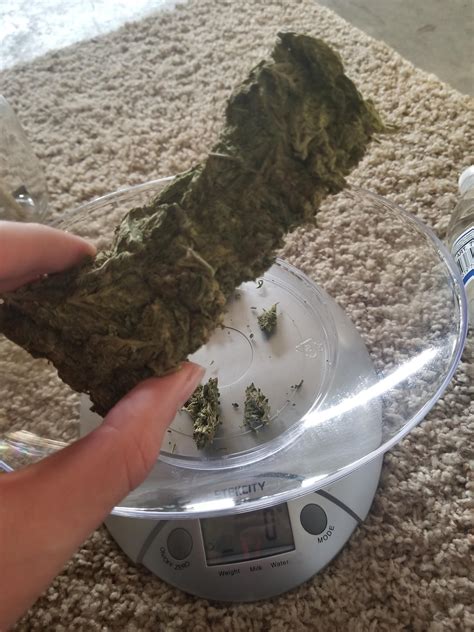 How to separate two stuck glasses inside one another. How to separate weed that's stuck together? : trees
