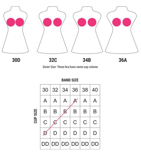 Free shipping & exchanges · sizes from petite to plus Bra Sister Sizes Chart | Sister Cup Sizes Chart ...