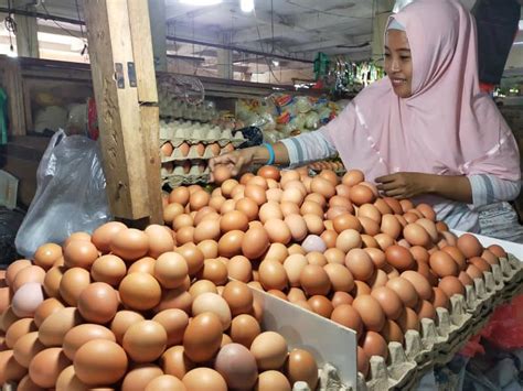 Laporan harga purata terkini peringkat runcit komoditi harian pada sabtu, 15 mei 2021  harga terdahulu (khamis, 13 mei 2021)  Harga Jual Telur Ayam Stabil Tapi Pembeli Sepi - I Papua