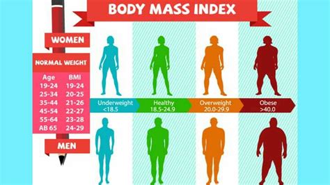 You've probably heard the term bmi (body mass index). Bmi and Bmr in hindi - YouTube
