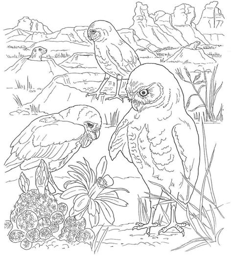 Free printable desert coloring pages. 7 Pics Of Desert Scene Coloring Pages Printable - Desert ...