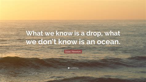 Let these funny dropped quotes from my large collection of funny quotes about life add a little humor to your day. Isaac Newton Quote: "What we know is a drop, what we don't know is an ocean." (21 wallpapers ...