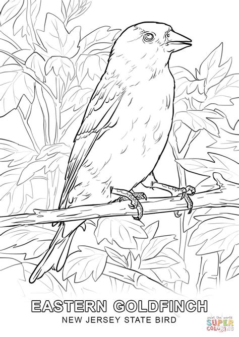 And state nature and historic preserves, with approximately 600. New Jersey State Bird coloring page | Free Printable ...