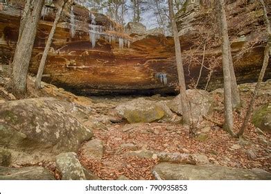 At an elevation of 1100. Glory Hole Cabin - cabin