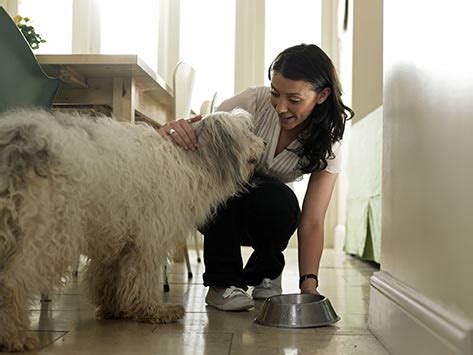 Although they drink it as puppies and kittens, as they grow many become lactose intolerant. Feeding the Dog with Kidney Disease | petMD