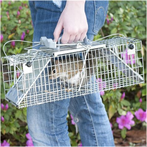 If viewers purchase products through those links, i receive. Havahart 1061 Easy Set Two- Door Live Animal Cage Trap for ...