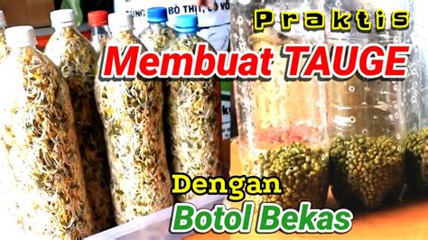 Bersih, sehat dan mudah cara membuatnya. CARA MEMBUAT TAUGE SENDIRI DENGAN BOTOL BEKAS - MUDAH ...