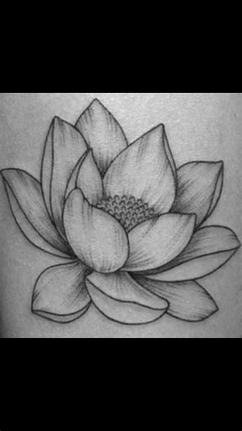 I hope you like it. Lotus flower drawing | Lotus flower drawing, Realistic ...