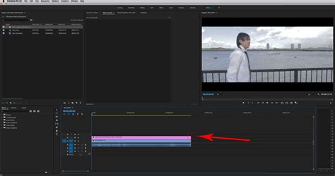 Use the advanced editing tools that are included with the software, with unparalleled image quality and the real. Adobe premiere pro 2.0 trial download.