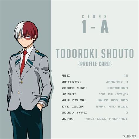 Todoroki shoto, shouto my hero encyclopedia, boku no hero academia, my hero academia.png. Pin on Anime/Animation