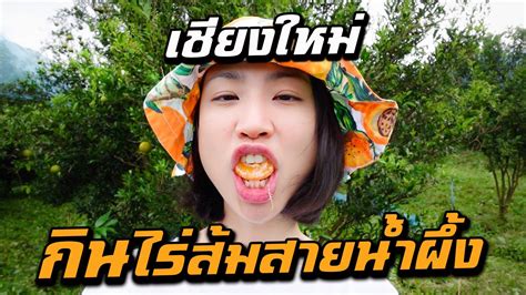 มิ้นท์ i roam alone กับการปรับตัวของ youtuber สายท่องเที่ยว. I Roam Alone - เชียงใหม่ - กินจนจุก ตะลุยไร่ส้มสายน้ำผึ้ง ...