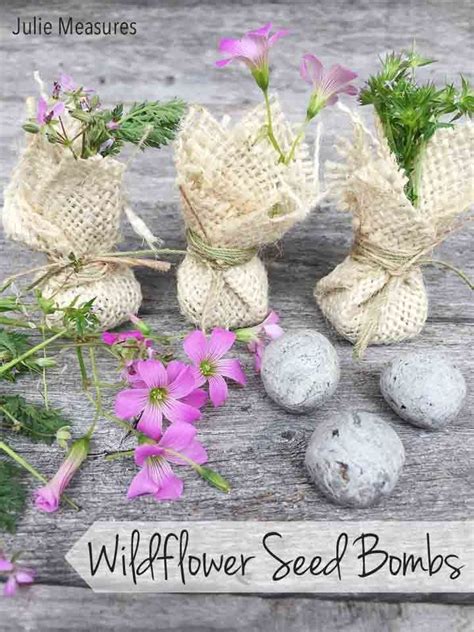Wildflower seed bombs are not a new phenomenon, in fact, they date back hundreds of years and were used in agriculture to plant out in hard to reach outcrops. Easy DIY Wildflower Seed Bombs - Julie Measures | Seed ...