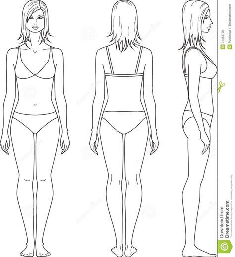 Attaches to broad ligament at back of uterus by mesovarium. female template for fashion design front side back ...