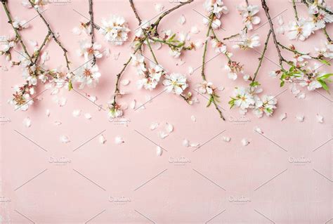 Create a dramatic interior theme that's full of interesting depth, with this pink photographic oversized dark moody floral wallpaper mural, a. Spring almond blossom flowers and petals over light pink ...