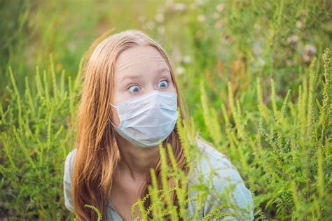 Escalopines de bar à l'émincé l'ambroisie: Asthme, rhinite, conjonctivite: attention à l'ambroisie