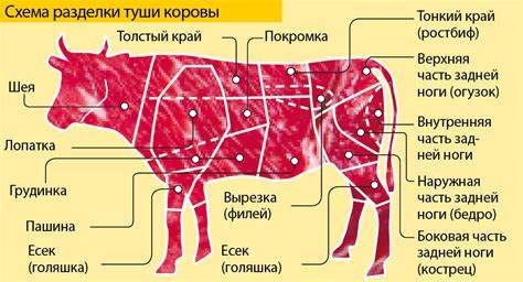 Диета на вареном мясе говядина