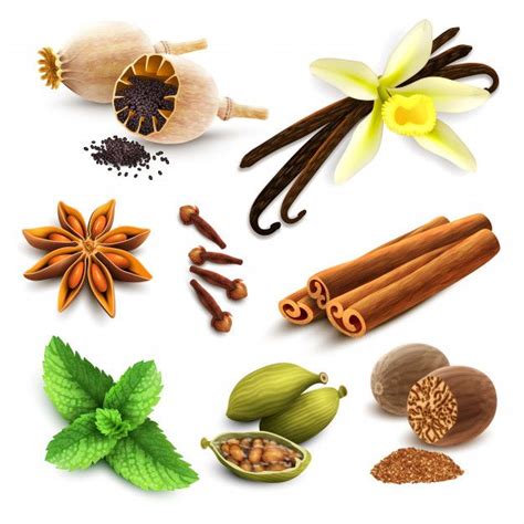Download Herbs And Spices Set for free | Herbs & spices, Spice set ...