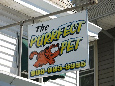 Check out the merch here. The Purrfect Pet - Milford, NJ - Pet Supplies