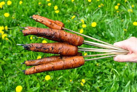 The dehydrated fiber works wonders for diarrhea and even upset stomach. Smoky barbecue carrot hot dogs with creamy chickpea salad ...