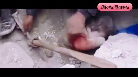 Terlihat memang al ghazali lebih memilih buku dari pada uang kertas lima ratus rupiah. KEJADIAN PALESTINA BAYI TERKUBUR MASIH HIDUP SUNGGUH MIRIS - YouTube