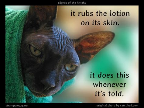 It rubs the lotion on it's skin. it rubs the lotion on its skin | strangepuppy.net | Strange Puppy