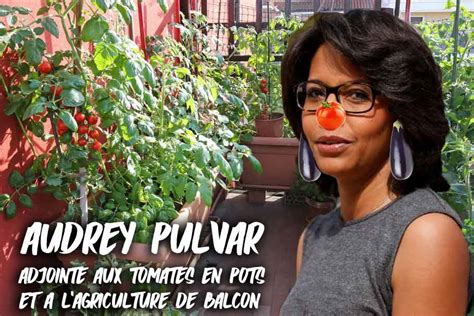 Audrey pulvar succède à nicolas hulot : Le Pulvar bashing est lancé97land | 97land