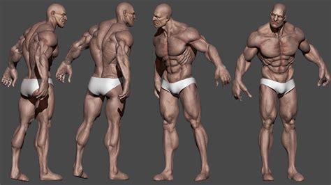 Png eps | 15 mb rar this pack is suitable for shooting games, running games, platform. 3D model Human Male Character VR / AR / low-poly OBJ MTL ...