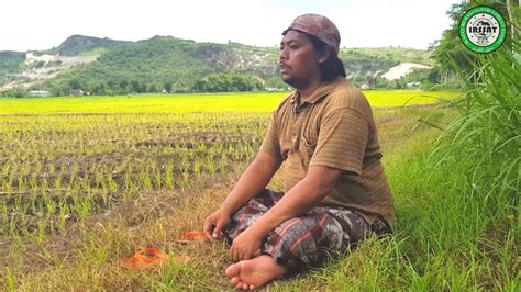 Download lagu doa minta hujan dapat kamu download secara gratis di downloadlagu321.site. DOA MINTA TURUN HUJAN YANG BERKAH-PUJIAN SHOLAWAT - YouTube