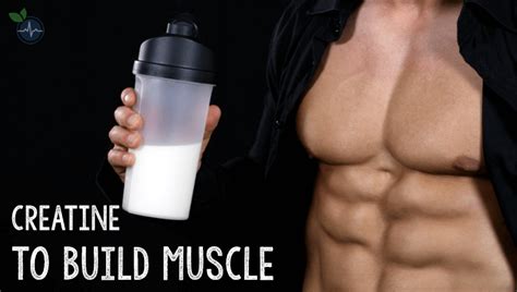 How much is too much creatine? How Much Creatine Should I Take a Day to Build Muscle