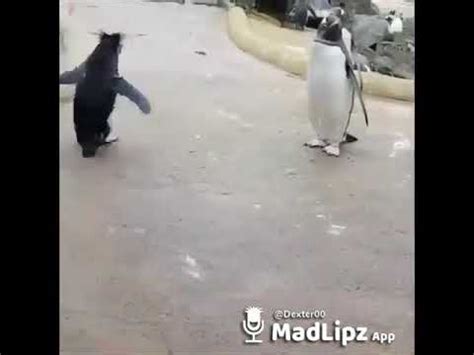 Cazzi grossi, visti da vicino, vecchi e giovani, uomini vecchi, cavalcare il pene. Cazzo in bocca - YouTube