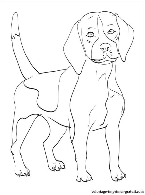 Cute elf coloring pages gallery. Coloriage Beagle a colorier | Coloriage à imprimer gratuit