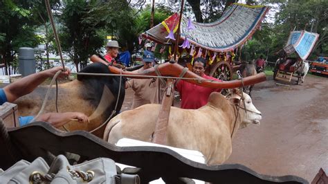 Lukisan berwarna kereta lembu dipandu seorang manusia berlatarbelakangkan dua buah rumah, pokok, pokok kelapa, burung. dan aku menulis untuk diri sendiri: 446 : Catatan ...