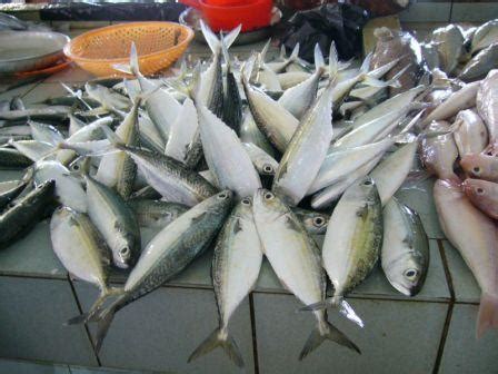 We did not find results for: Mimpi Ikan, Kura - kura, Buaya, dan Katak | dunia islam