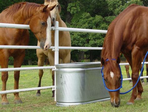 Abreuvoir pour vaches - WTO2 Series - Priefert - pour ...