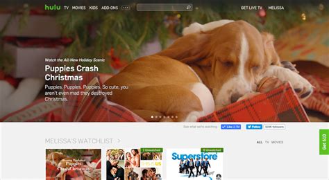 In the case of hulu's puppies crash christmas, the thing being forced on us, before being magically dissolved, is stress. Hulu "Puppies Crash Christmas" - Jonathan Skale - Writer