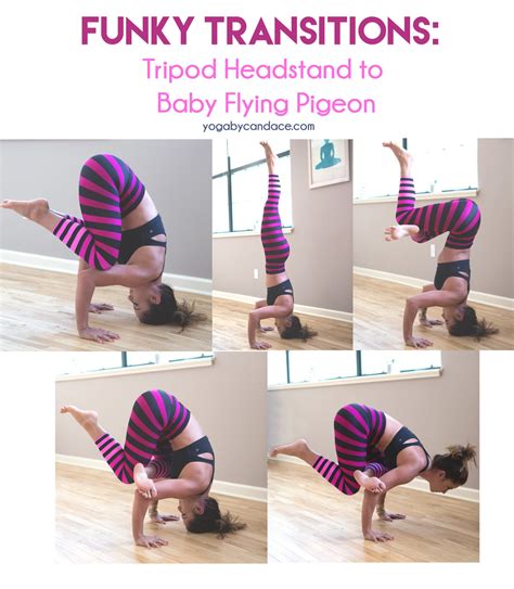 It's common to use simpler inversions to prep for headstand pose. Funky Transitions: Tripod Headstand to Baby Flying Pigeon ...