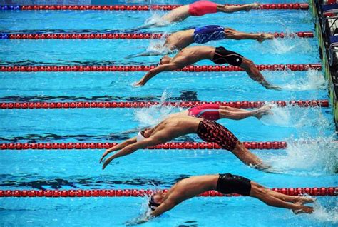 La nuotatrice italiana simona quadarella ha vinto l'oro negli 800. DIRETTA / Mondiali Nuoto 27 luglio 2019: Quadarella d ...