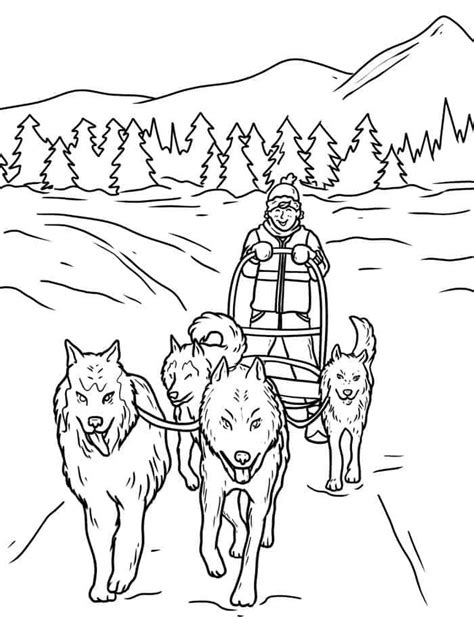 In total the dogs run pull the sled approximately 1000 miles from anchorage, alaska to nome, alaska. Dog Sled Coloring Pages | Dog coloring page, Animal ...