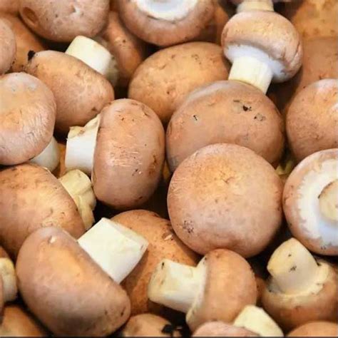 Allow the mushrooms to fry until golden brown then add the garlic and fry until fragrant. Chestnut Mushrooms 250g | Mobile Farm Shop