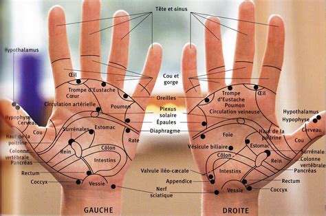 Les douleurs de la main peuvent avoir diverses origines : Chaque partie du corps est dans la paume de votre main ...