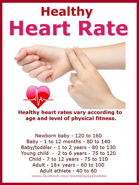 Many investigations are based on the paradigm that increased sympathetic tone is associated with decreased parasympathetic tone and vice versa. What Is A Normal Adult Heart Rate - Suck Dick Videos