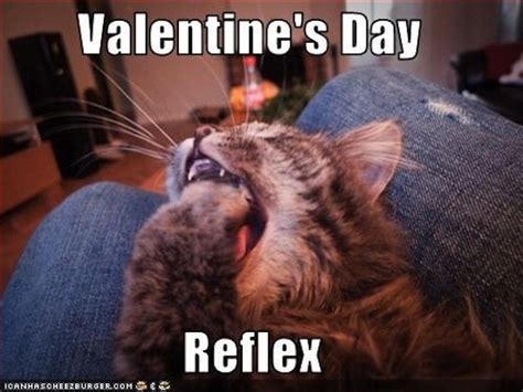 Every year whenever valentine day gets near, the web. 17 Funniest Valentines Day Memes - Freshmorningquotes
