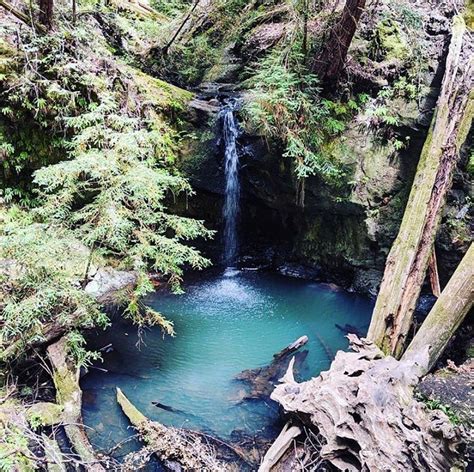 Maybe you would like to learn more about one of these? The 24 Best Northern California Hikes (Near San Francisco ...