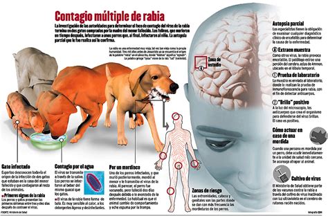 O ideal sería dar unha formación xeneralizada, porque un neno a partir dos 12 años ten forza suficiente para facer. Neno con sospeita de padecer rabia morre en Melgaço - Xornal Galego Noticias de Galicia en ...